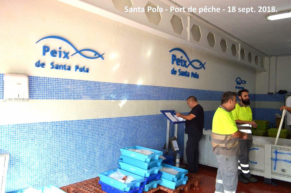 11 SANTA POLA PORT DE PECHE (35).JPG